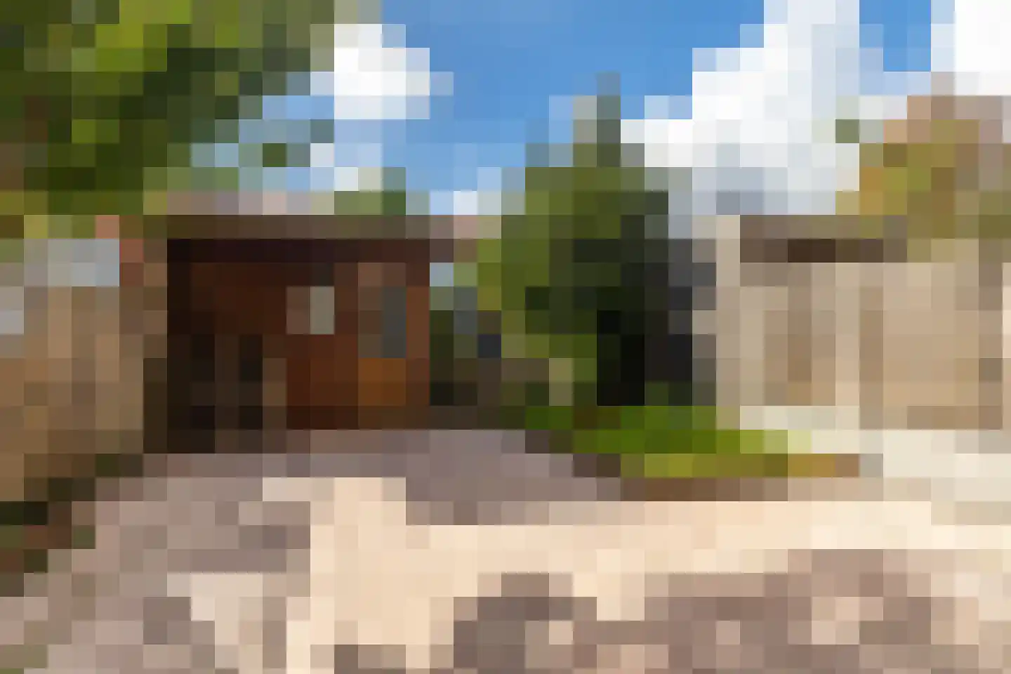 IJsbloem 23 Assendelft thumbnail 10