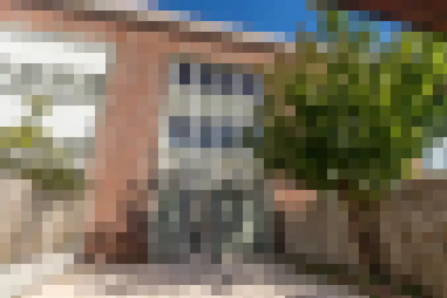 IJsbloem 23 Assendelft thumbnail 11