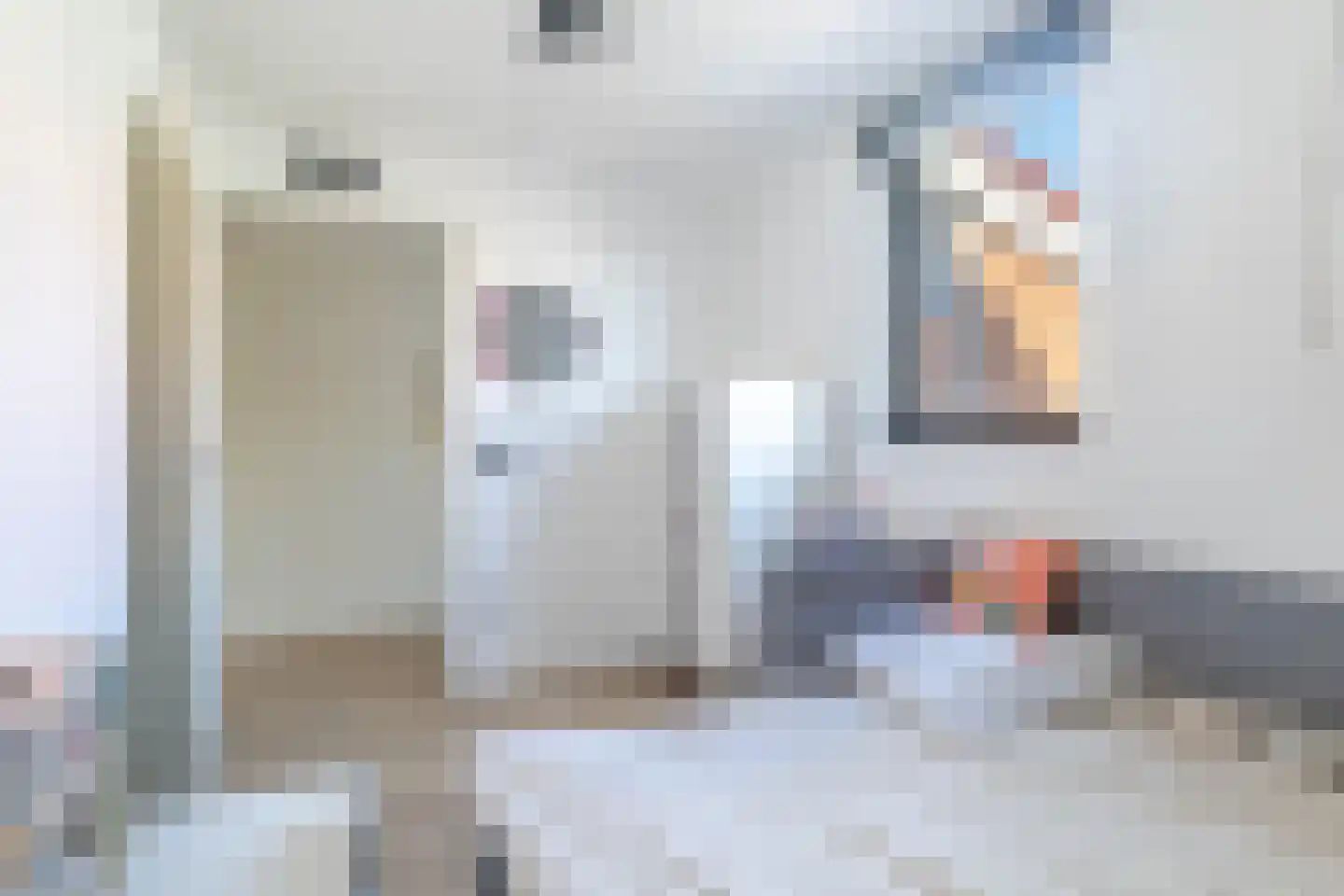 IJsbloem 23 Assendelft thumbnail 19