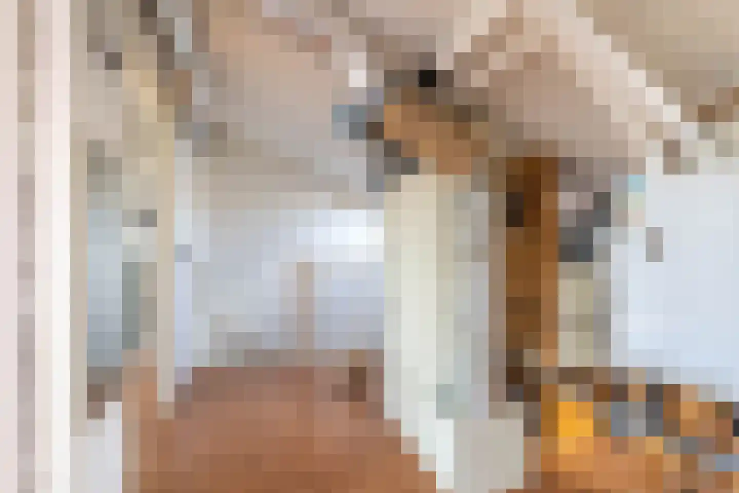 IJsbloem 23 Assendelft thumbnail 25