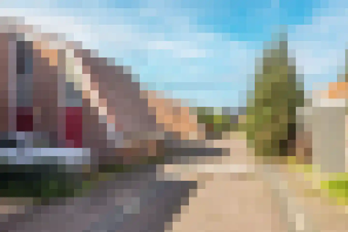 IJsbloem 23 Assendelft thumbnail 30