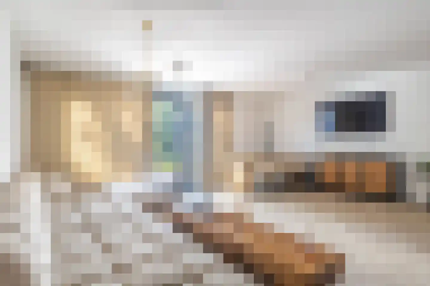 IJsbloem 23 Assendelft thumbnail 4