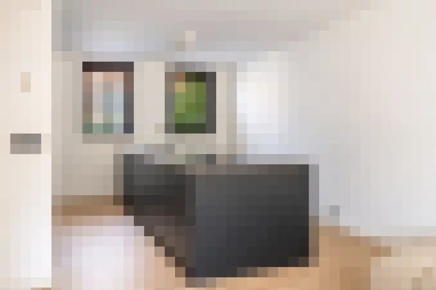 IJsbloem 23 Assendelft thumbnail 9