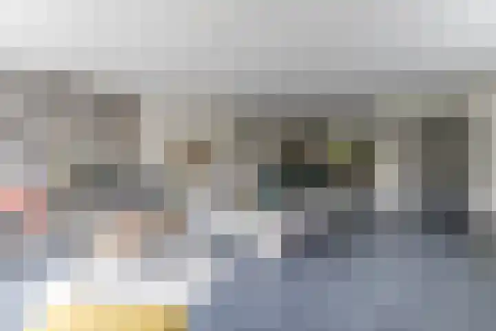 IJsbloem 27 Assendelft thumbnail 10