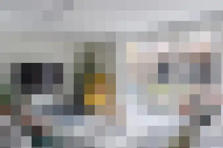 IJsbloem 27 Assendelft thumbnail 11