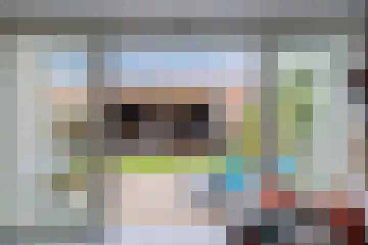 IJsbloem 27 Assendelft thumbnail 12