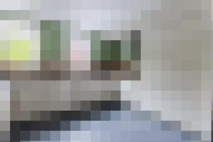 IJsbloem 27 Assendelft thumbnail 15