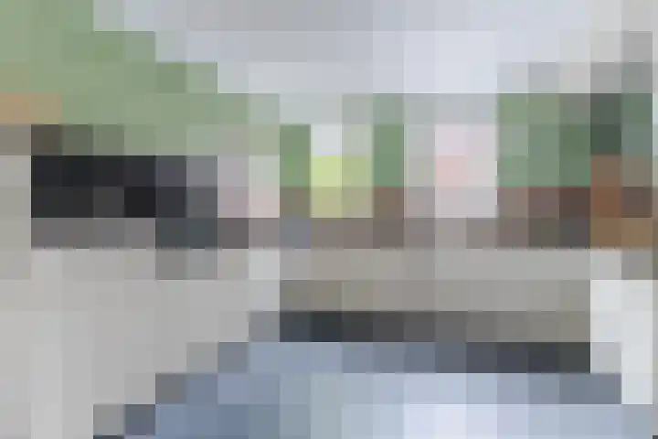 IJsbloem 27 Assendelft thumbnail 16