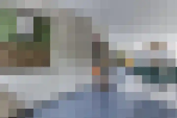 IJsbloem 27 Assendelft thumbnail 17