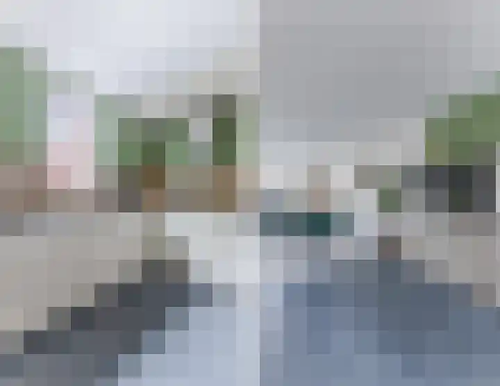 IJsbloem 27 Assendelft thumbnail 18