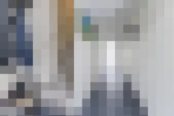 IJsbloem 27 Assendelft thumbnail 19