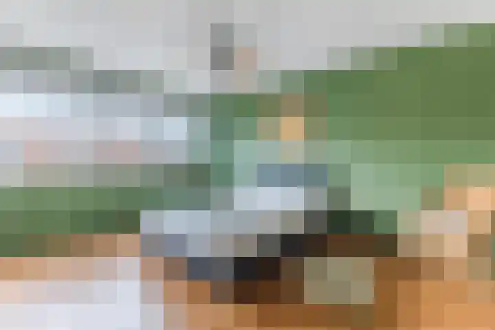 IJsbloem 27 Assendelft thumbnail 21
