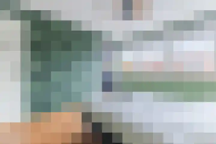 IJsbloem 27 Assendelft thumbnail 22