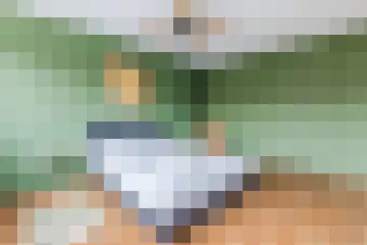 IJsbloem 27 Assendelft thumbnail 23