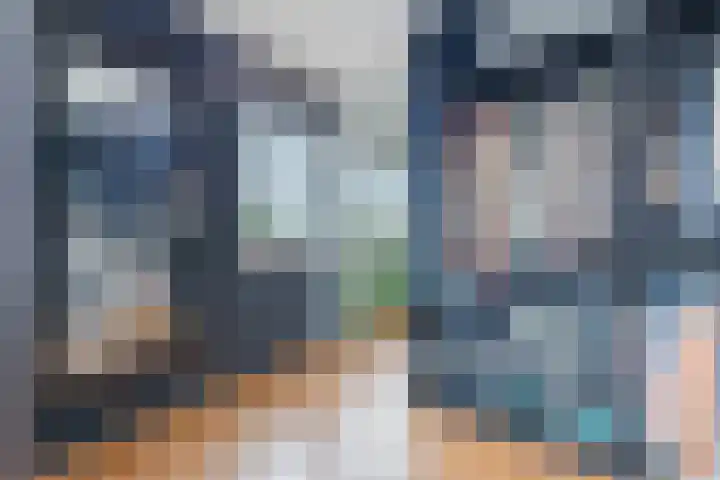 IJsbloem 27 Assendelft thumbnail 25