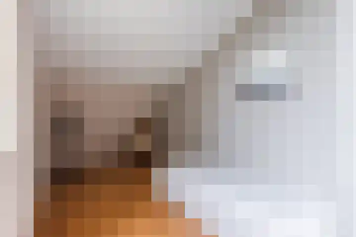 IJsbloem 27 Assendelft thumbnail 30