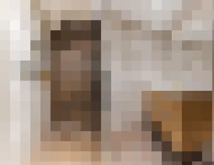 IJsbloem 27 Assendelft thumbnail 34