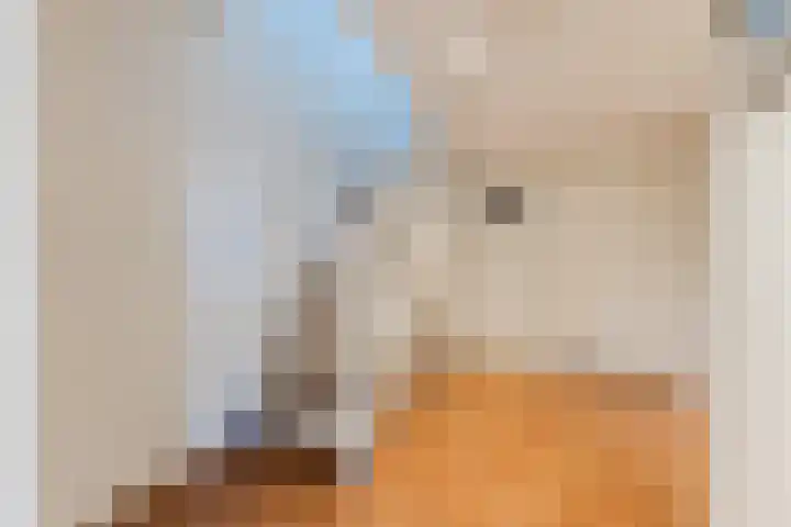IJsbloem 27 Assendelft thumbnail 35