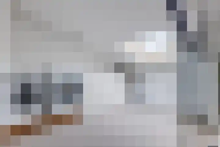 IJsbloem 27 Assendelft thumbnail 37