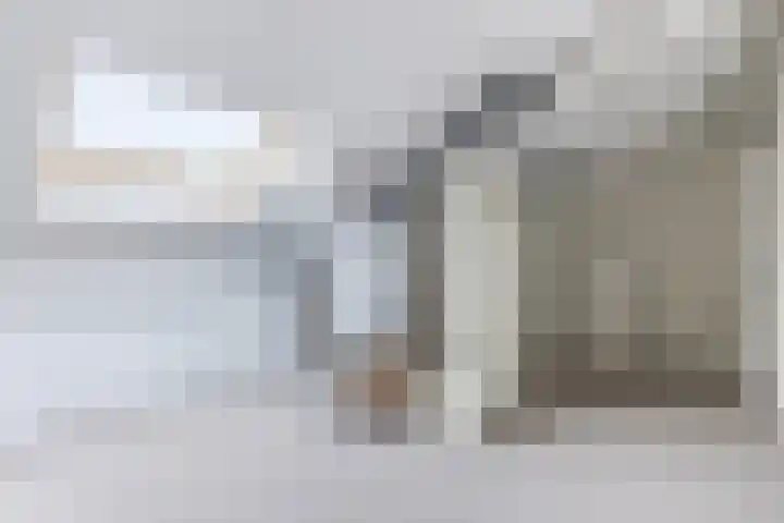 IJsbloem 27 Assendelft thumbnail 38