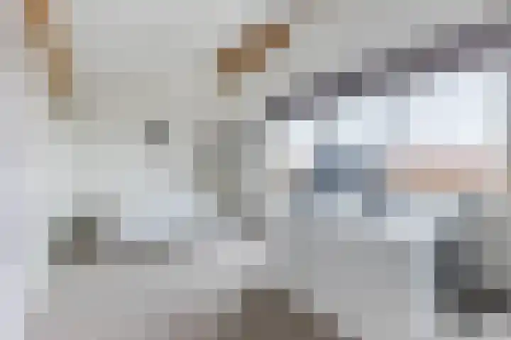 IJsbloem 27 Assendelft thumbnail 39