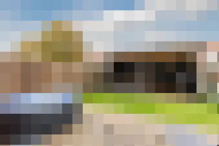 IJsbloem 27 Assendelft thumbnail 4