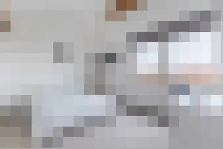 IJsbloem 27 Assendelft thumbnail 40