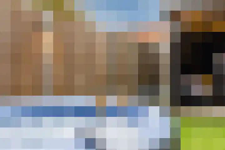 IJsbloem 27 Assendelft thumbnail 43
