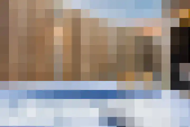 IJsbloem 27 Assendelft thumbnail 44