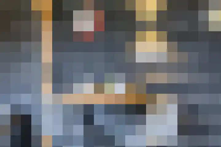 IJsbloem 27 Assendelft thumbnail 45
