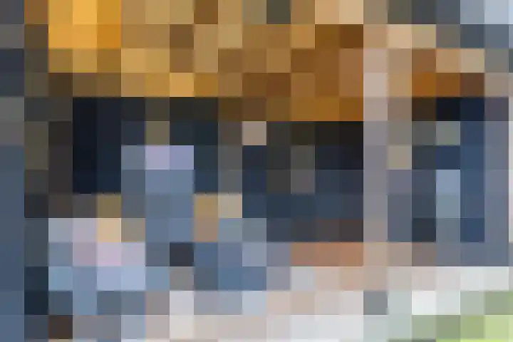 IJsbloem 27 Assendelft thumbnail 48