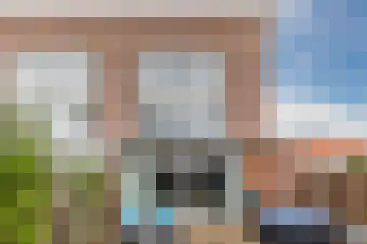 IJsbloem 27 Assendelft thumbnail 49