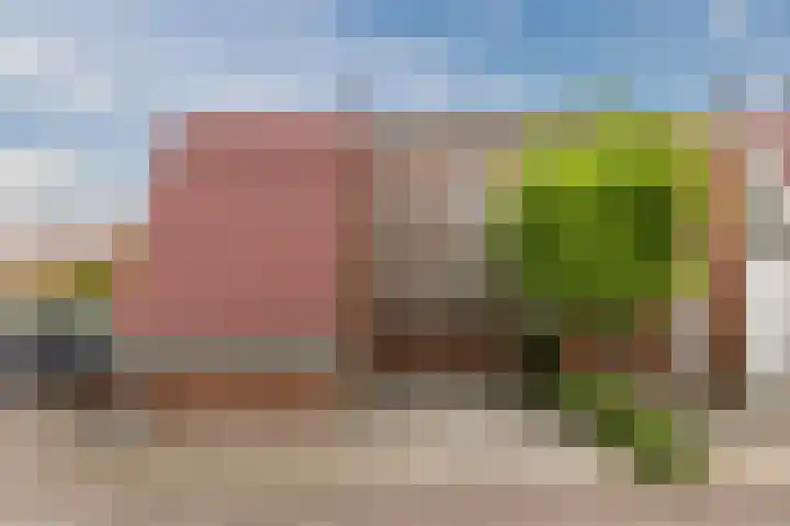 IJsbloem 27 Assendelft thumbnail 5