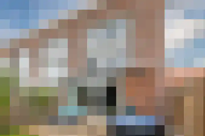 IJsbloem 27 Assendelft thumbnail 50