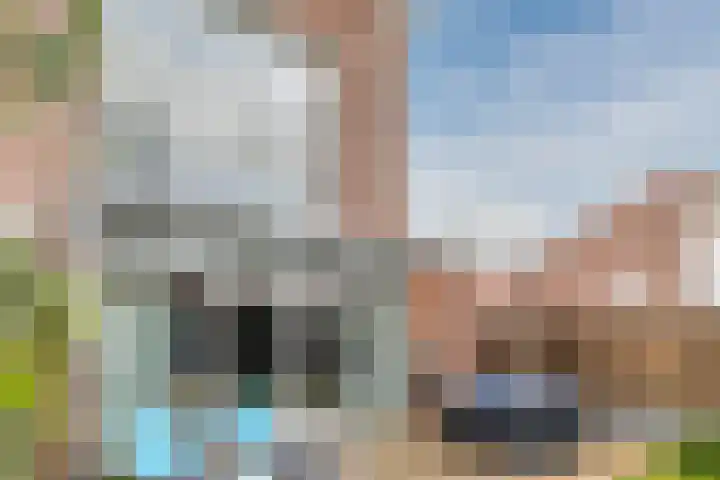 IJsbloem 27 Assendelft thumbnail 51