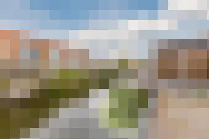 IJsbloem 27 Assendelft thumbnail 52