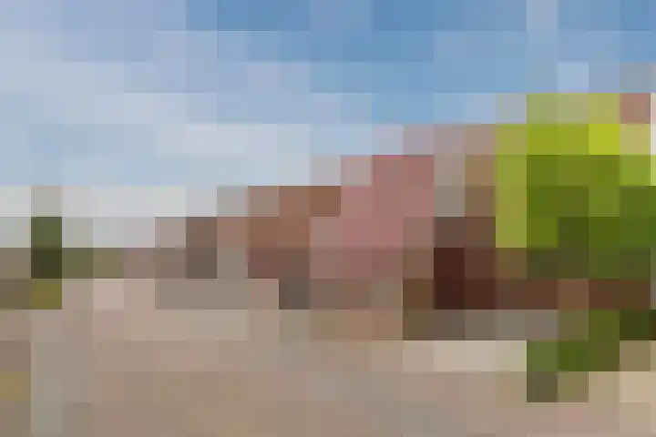 IJsbloem 27 Assendelft thumbnail 53
