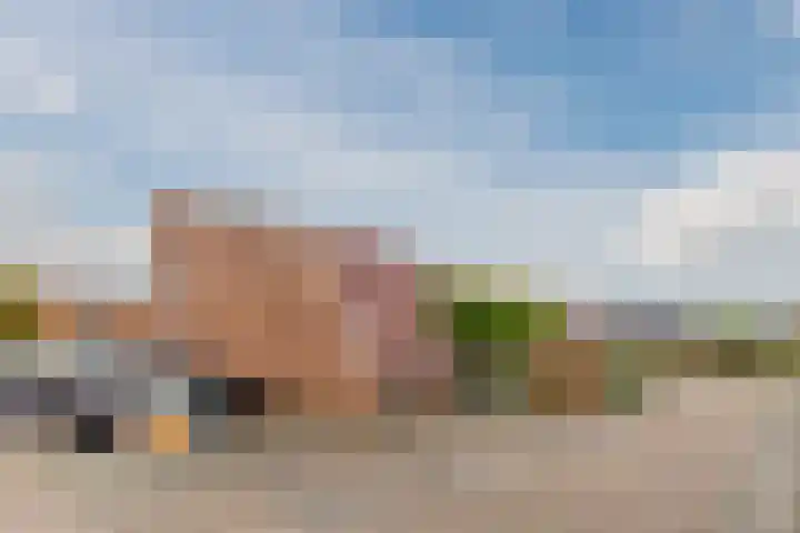 IJsbloem 27 Assendelft thumbnail 54