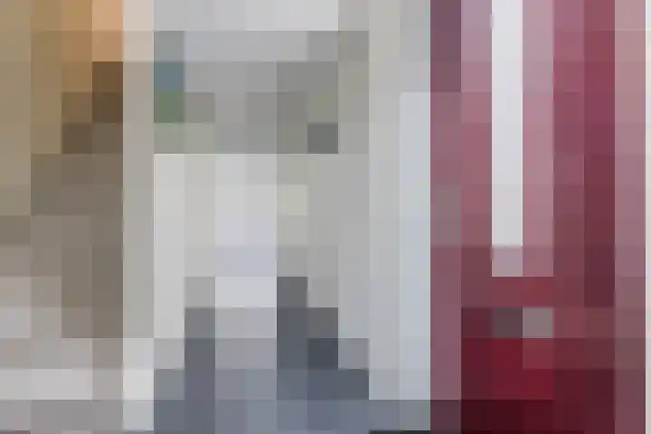 IJsbloem 27 Assendelft thumbnail 6