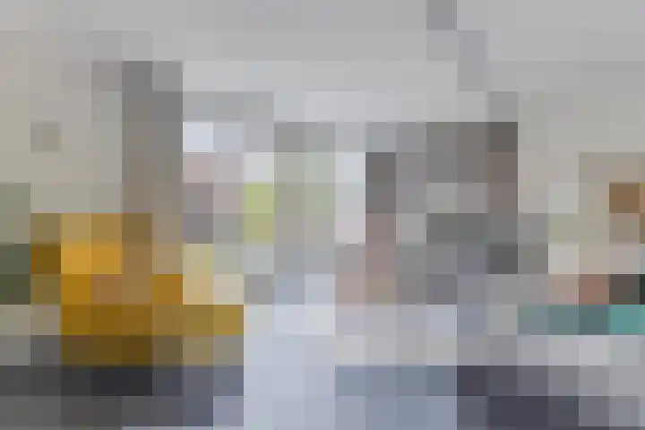 IJsbloem 27 Assendelft thumbnail 8