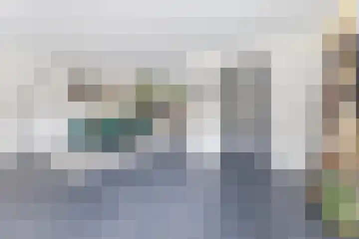 IJsbloem 27 Assendelft thumbnail 9