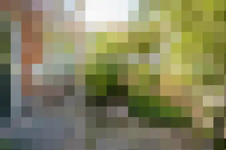 IJsbloempad 11 Spijkenisse thumbnail 10