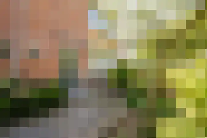 IJsbloempad 11 Spijkenisse thumbnail 11