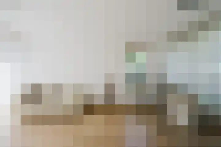 IJsbloempad 11 Spijkenisse thumbnail 14