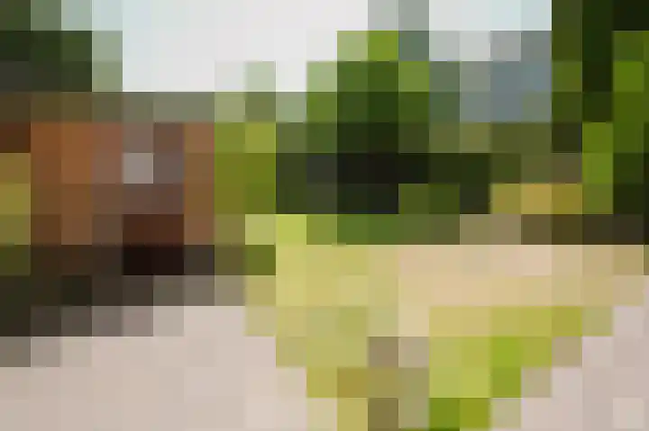 IJsbloempad 11 Spijkenisse thumbnail 17