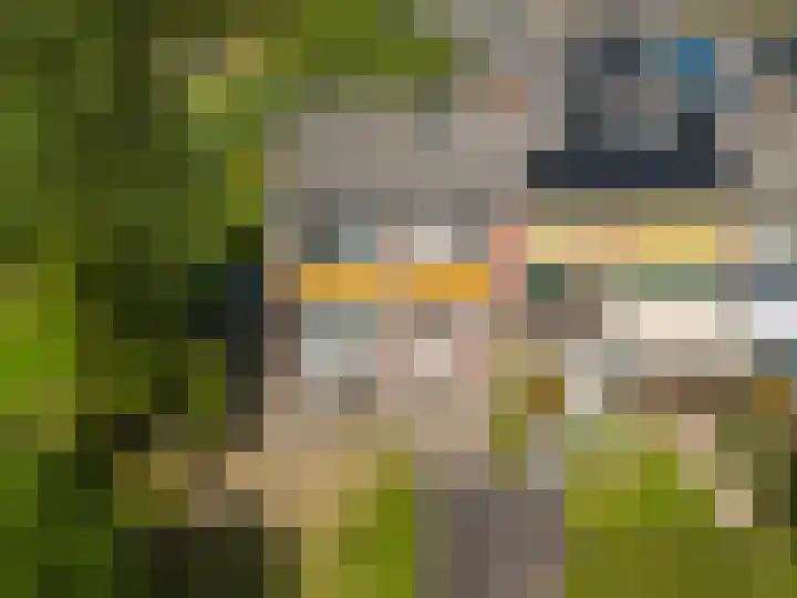 IJsbloempad 11 Spijkenisse thumbnail 18