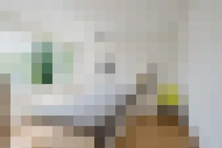 IJsbloempad 11 Spijkenisse thumbnail 22