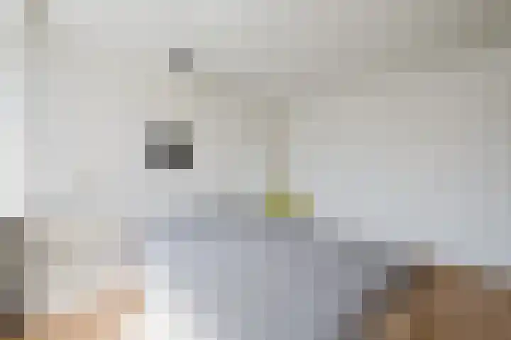 IJsbloempad 11 Spijkenisse thumbnail 23