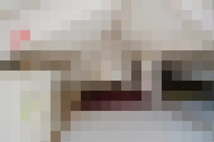 IJsbloempad 11 Spijkenisse thumbnail 26