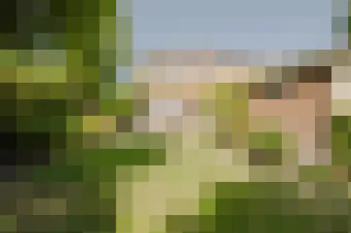 IJsbloempad 11 Spijkenisse thumbnail 5